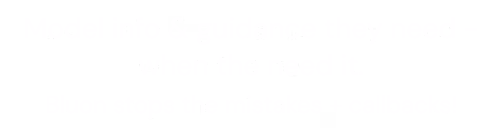 Bluon for Business supporting tagline
